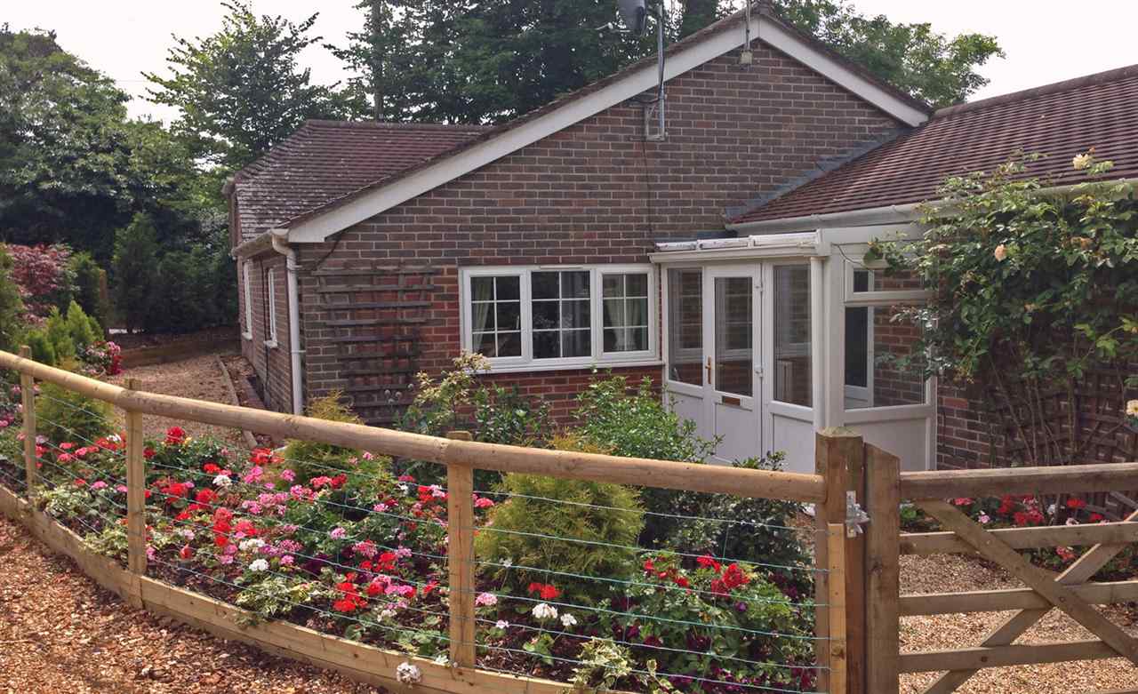 resized-2349823-Criddlestyle Cottage front garden.JPG